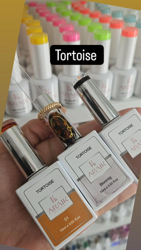Tortoise Set